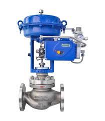 Globe Control Valve