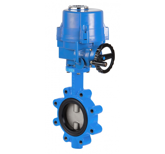 Butterfly Control Valve